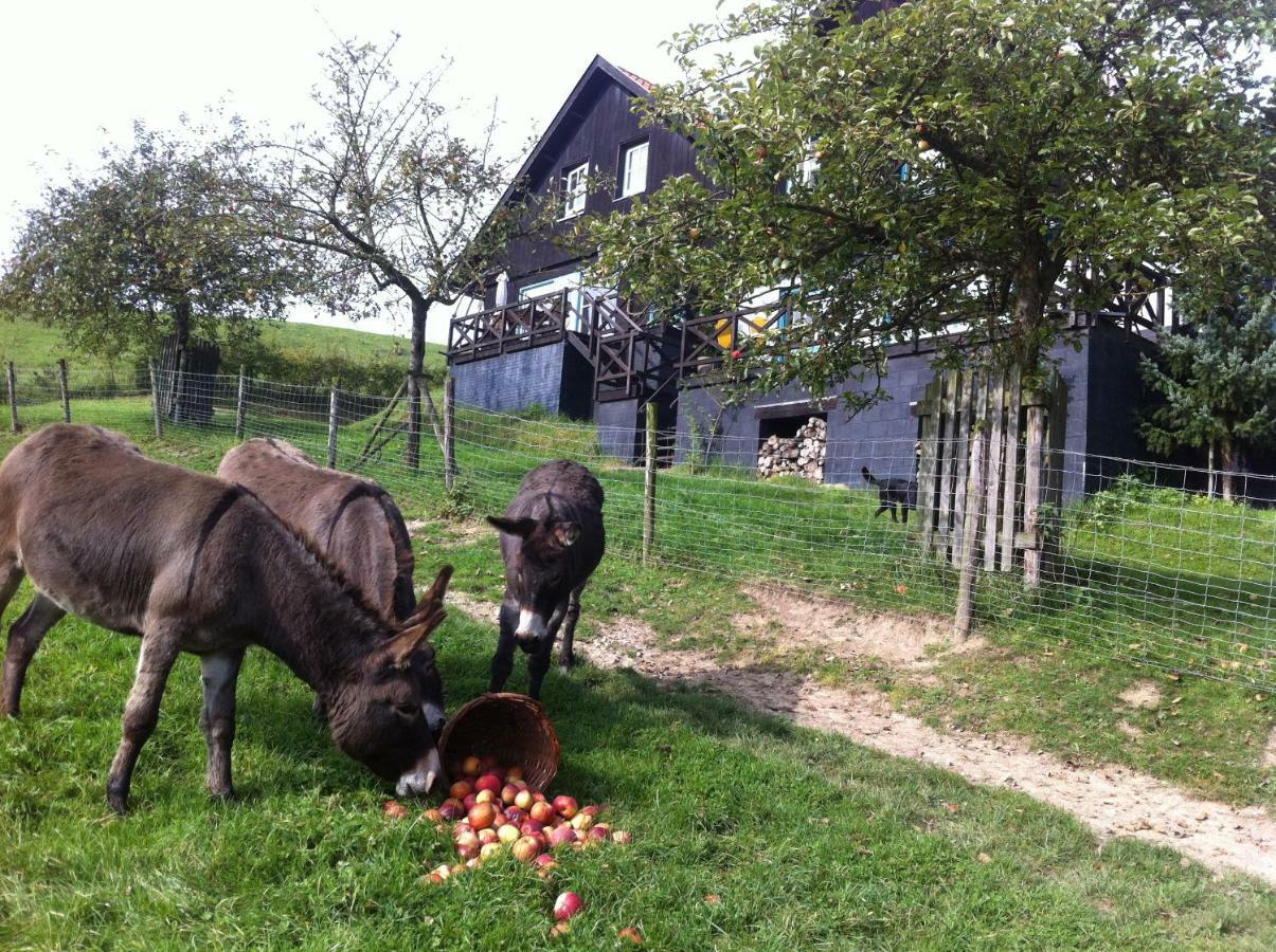 Hoeve Schoonzicht Wijlre エクステリア 写真